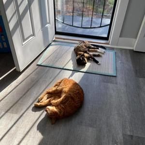 Meet your Posher, Courtney